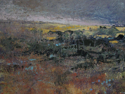 Spring Fields