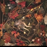 Empty nest